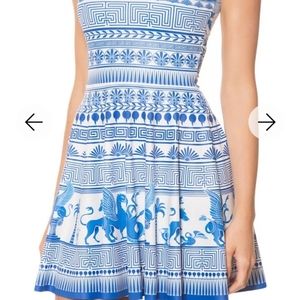 Olympus Reversible Skater Dress
